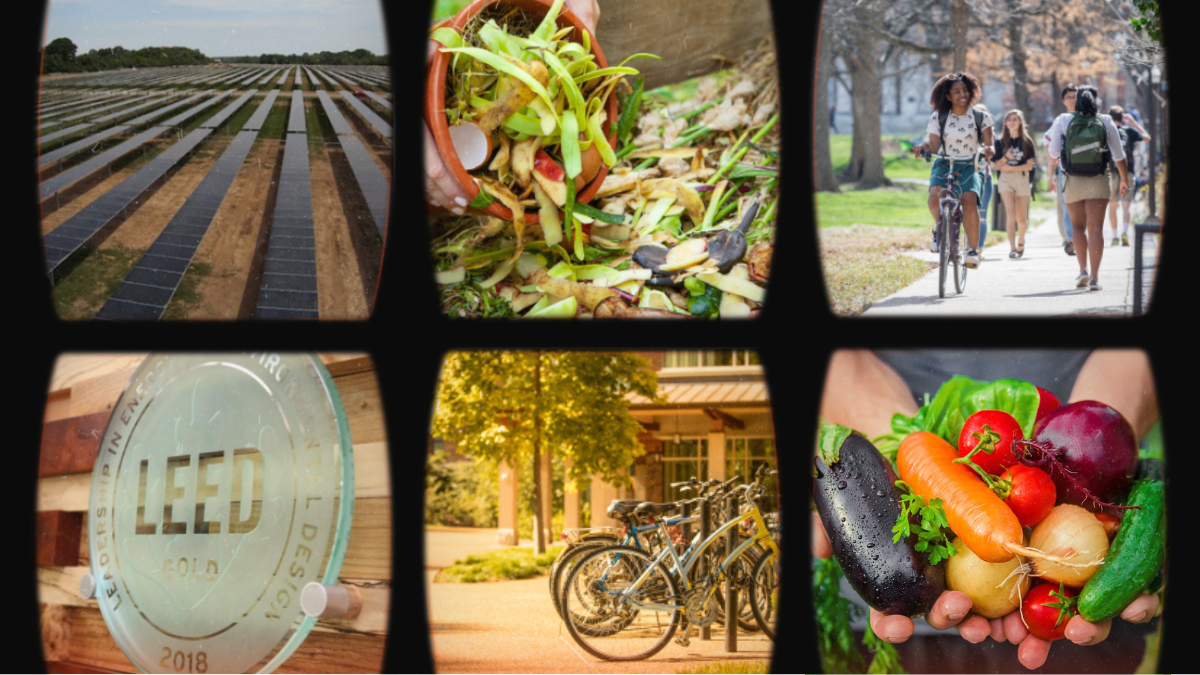 Collage of images related to sustainability; Top row (left to right): Vanderbilt Solar Farm I, Image of composting vegetables; Students walk and bike on campus; Bottom row (left to right): LEED logo; Bikes on a rack; Hands holding an assortment of vegetables.