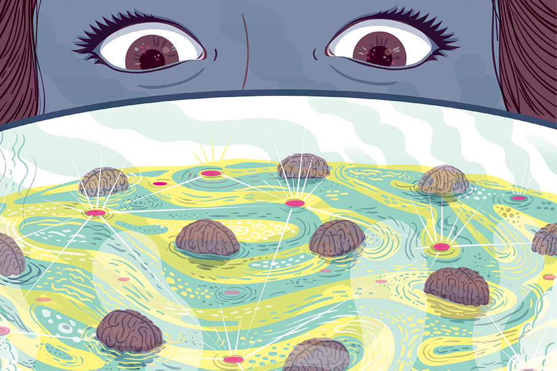 Vanderbilt University