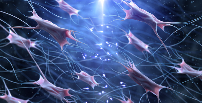 illustration of fibroblast cells and collagen particles