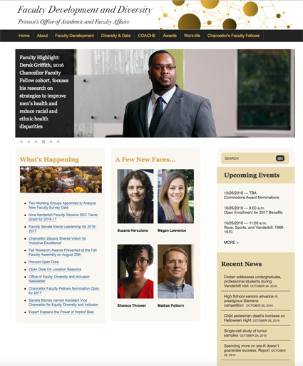 faculty_development_diversity_website