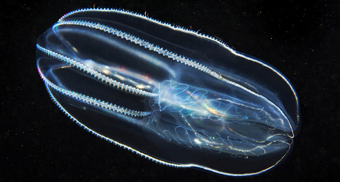 Vanderbilt University