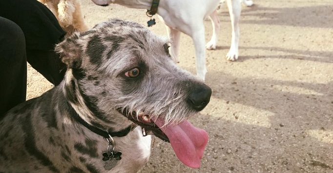 Vanderbilt University