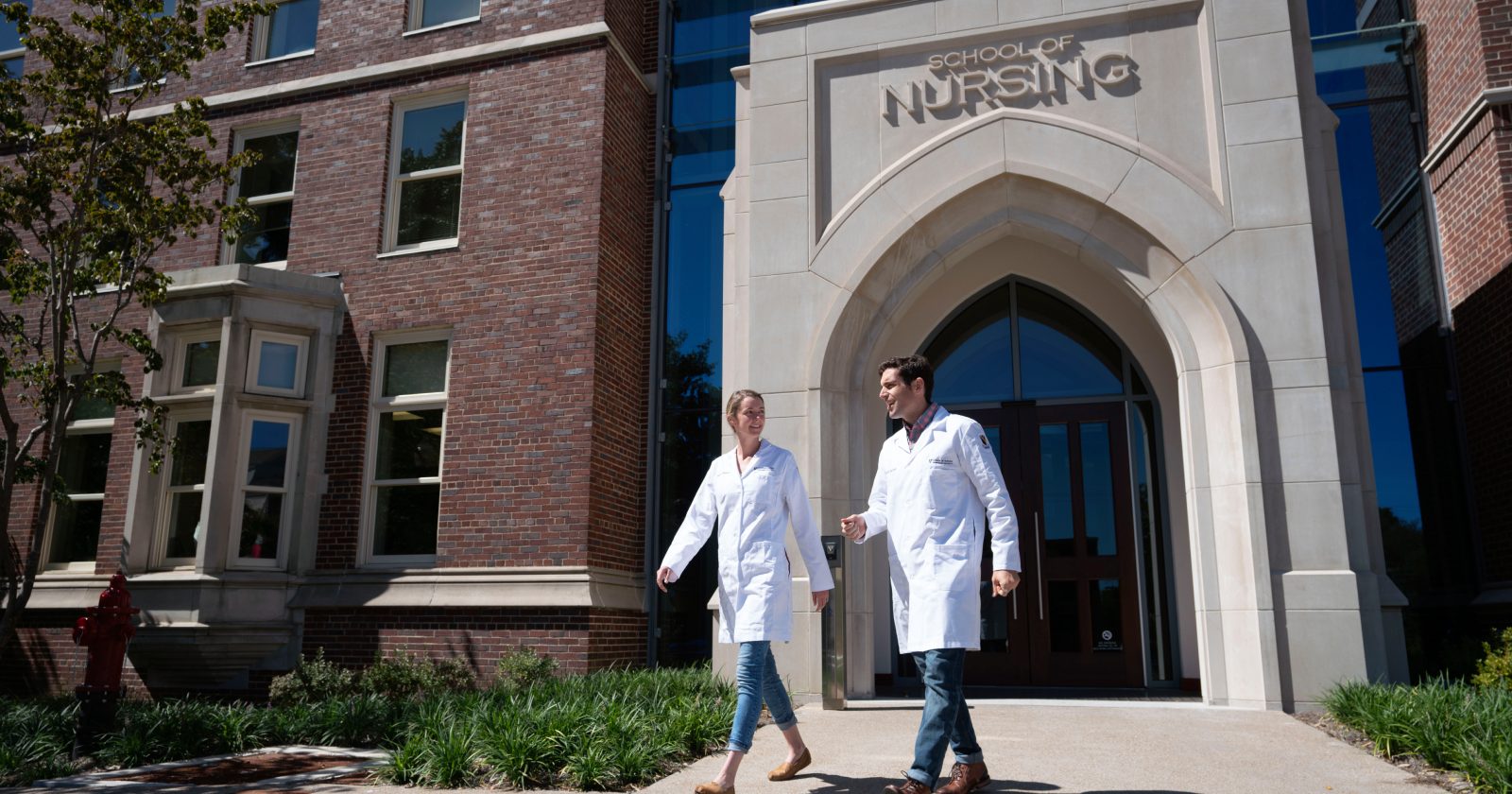 school of nursing