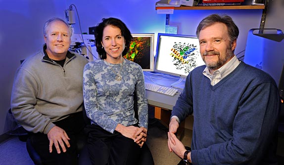 Randy Blakely, Tammy Jessen, Douglas McMahon and colleagues developed a mouse model that does not respond to serotonin blockers such as antidepressants. (John Russell / Vanderbilt)