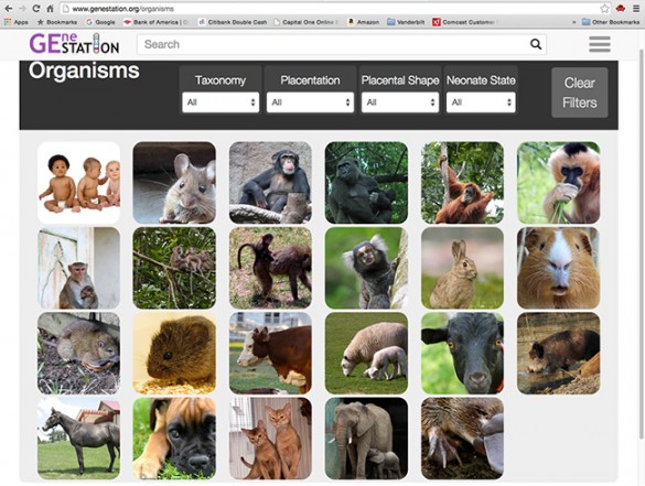 GEneSTATIONscreen screengrab