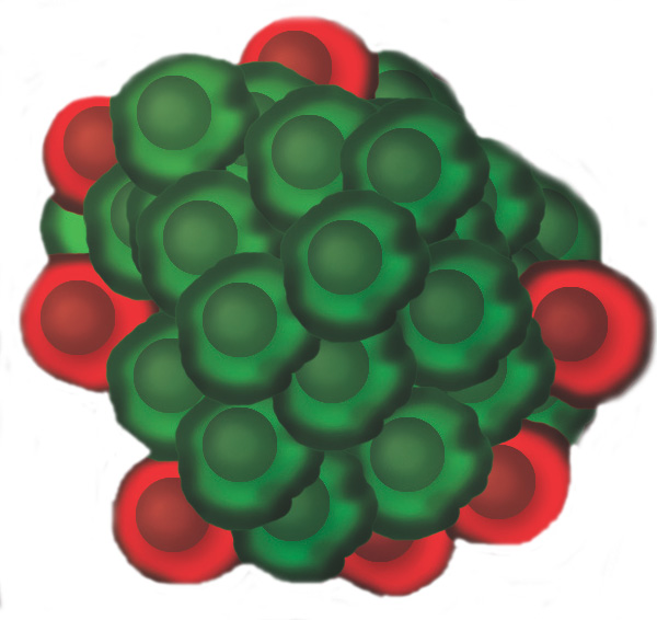 Vanderbilt University