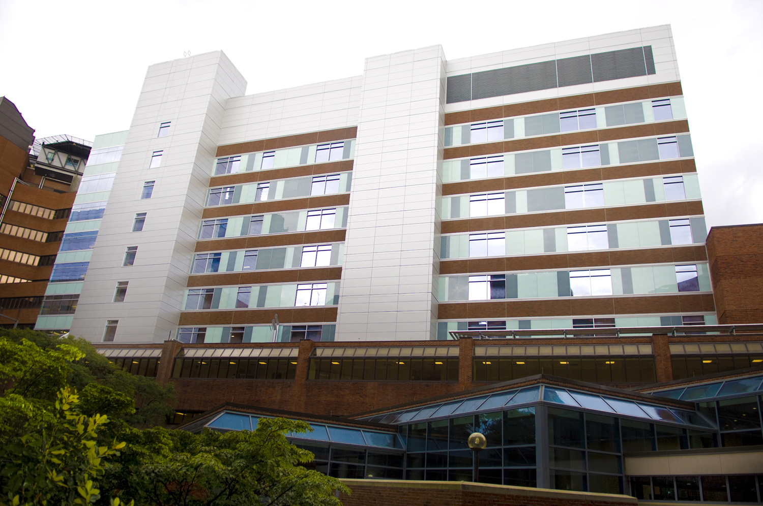 Vanderbilt University