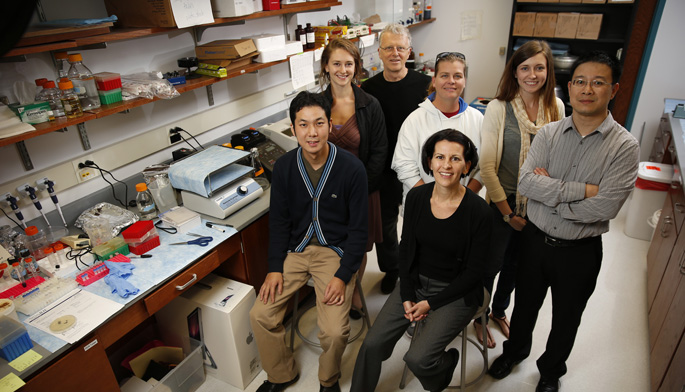 Vanderbilt University