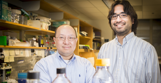 Vanderbilt University