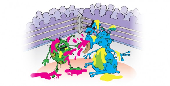 ReasearchVUBacteriaFightClubP250perecentOpacity.jpg cartoon bacteria fight club