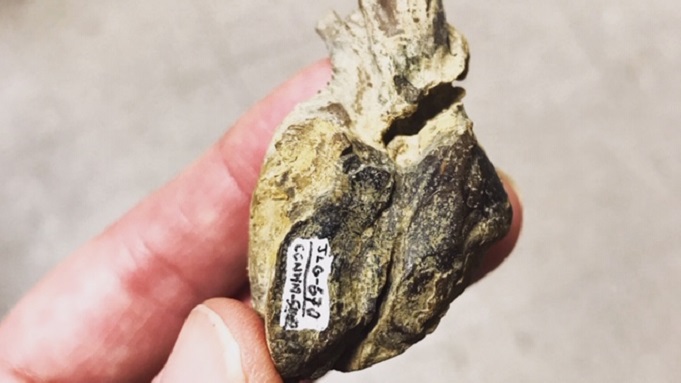 Vanderbilt University