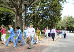 National Walking Day