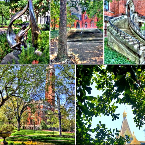 Vanderbilt University