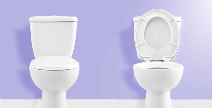 two toilets, one with lid up, one with lid down