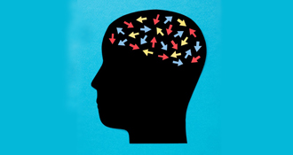 Vanderbilt University