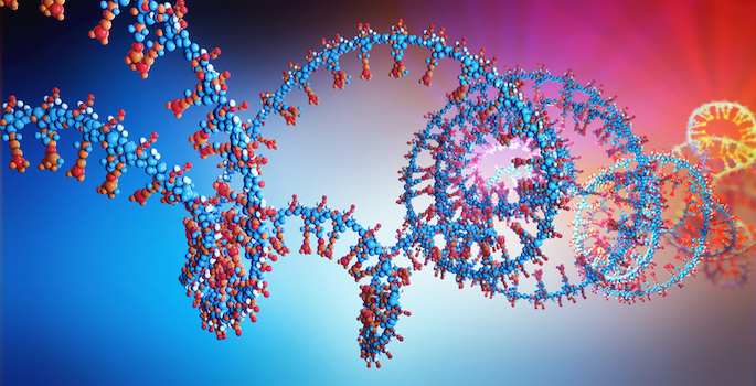 3d illustration of a ribonicleic acid chain from which the deoxyribonucleic acid or DNA is composed