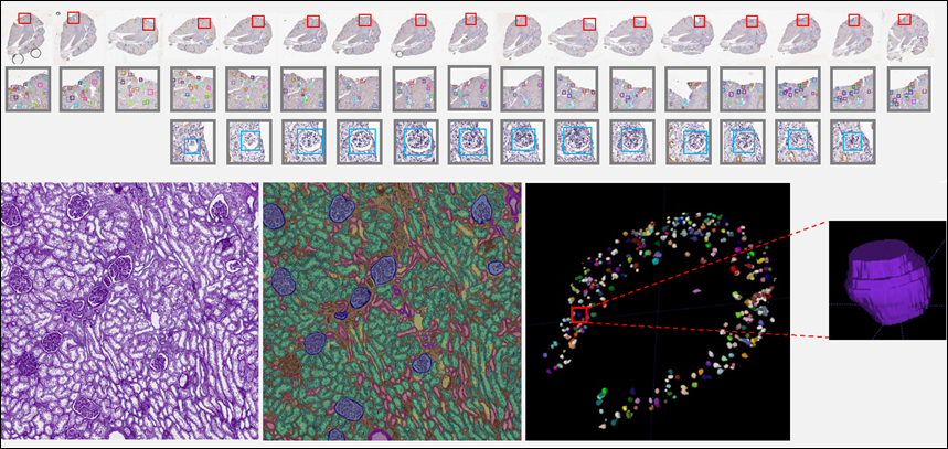 Vanderbilt University