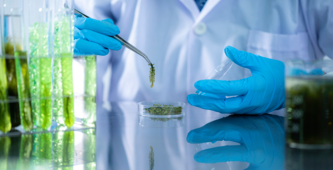 Vanderbilt University