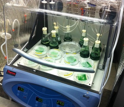 Vanderbilt University