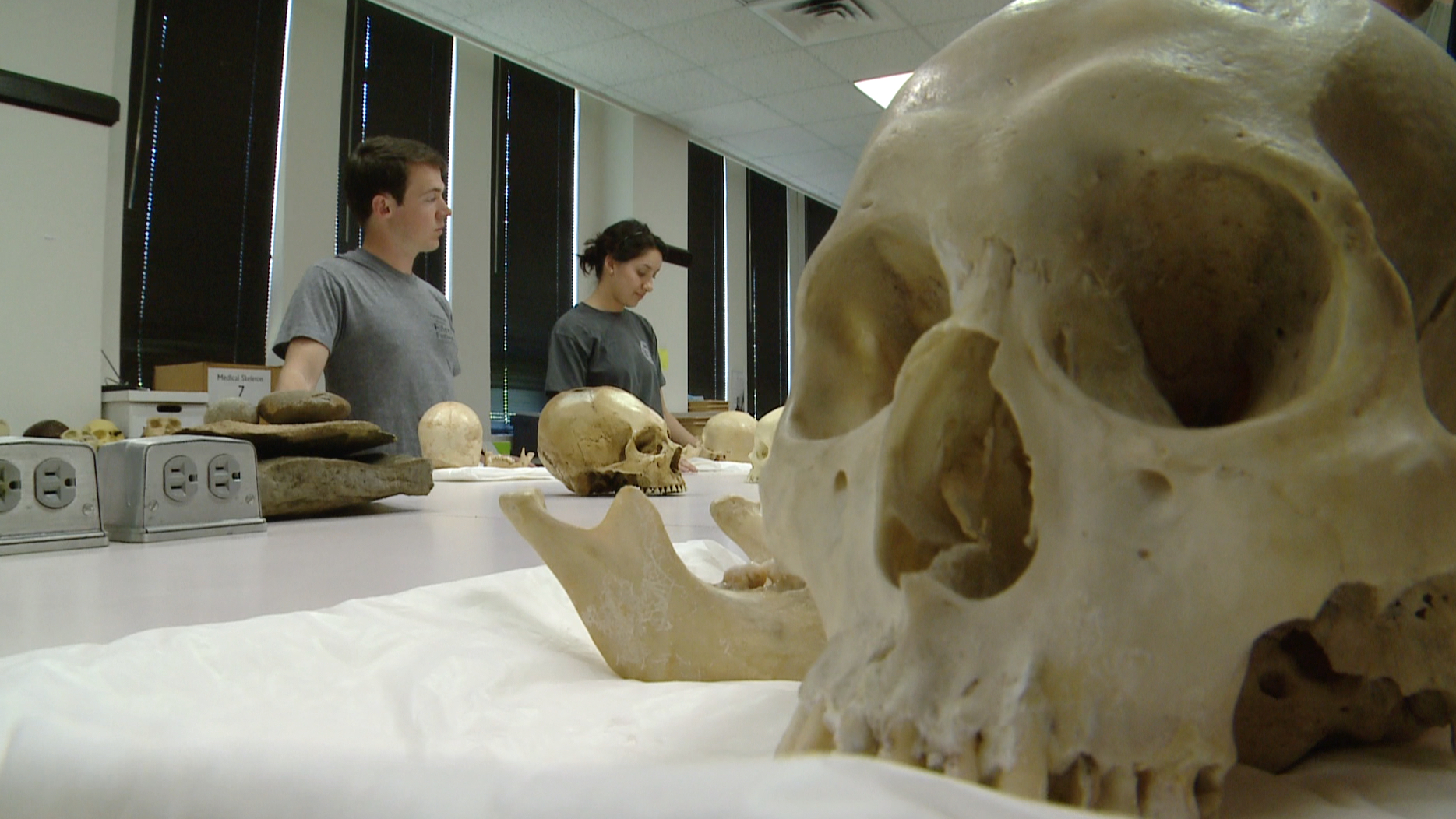 Vanderbilt University