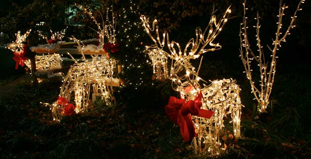 Vanderbilt University