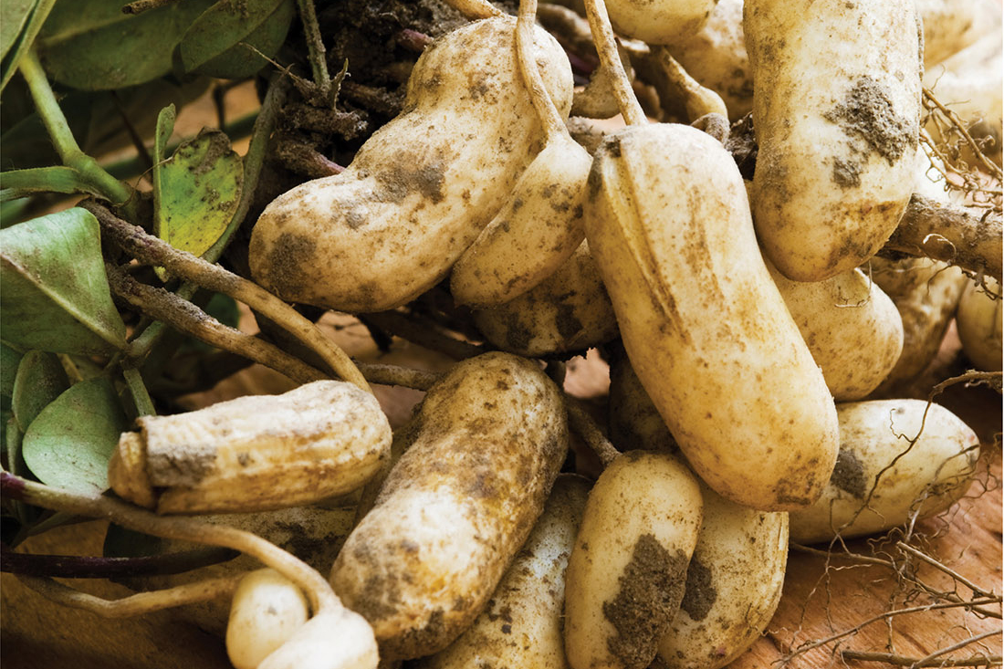 Vanderbilt University