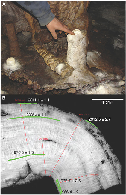 cross section of stalagmites