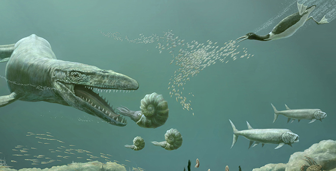 large strange sea critters