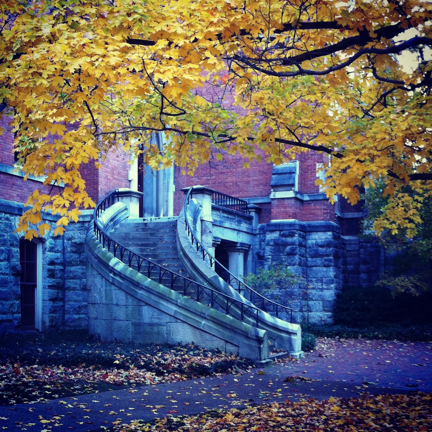 Vanderbilt University