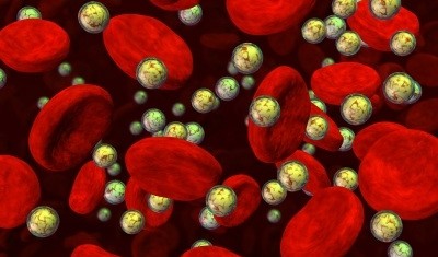 Vanderbilt University