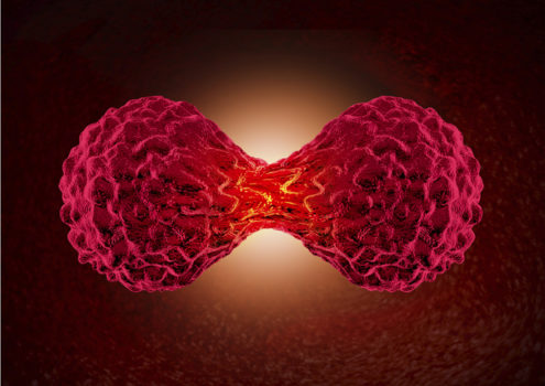 Vanderbilt University