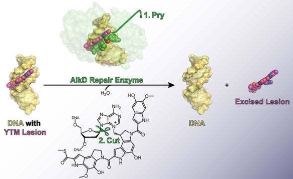 diagram of chemical process