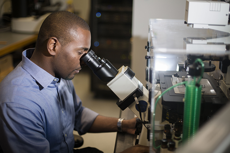 Vanderbilt University