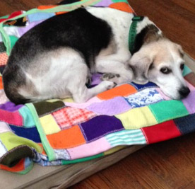 Vanderbilt University