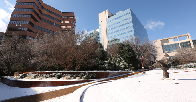 Vanderbilt University