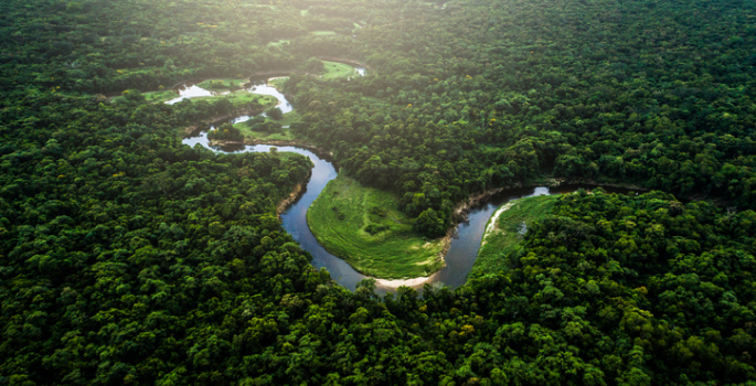 Amazon rainforest river