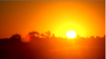 Take precautions: Heat stress safety