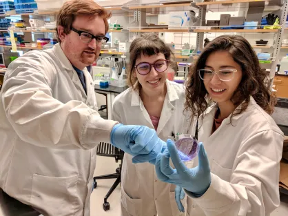 Ivanova and some of her lab partners, pre-COVID.