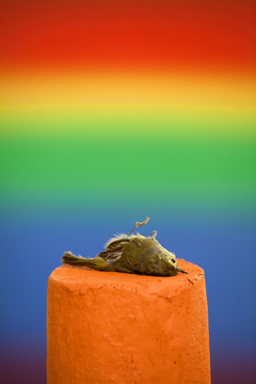 Vanderbilt University