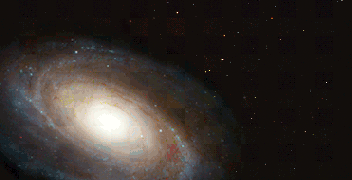 Rogue star animation