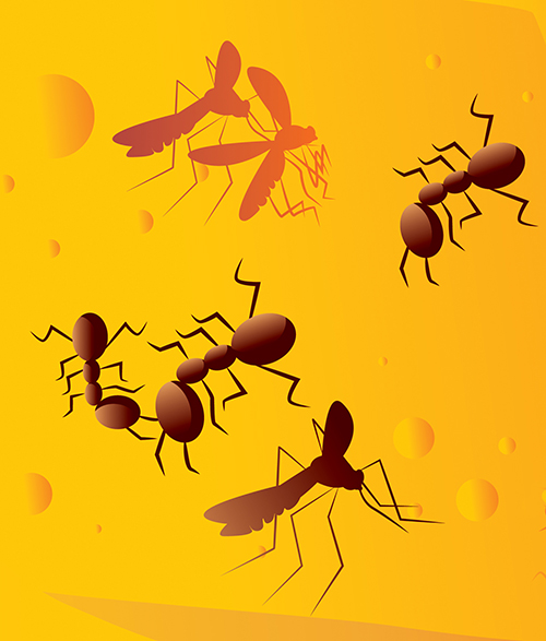 Vanderbilt University