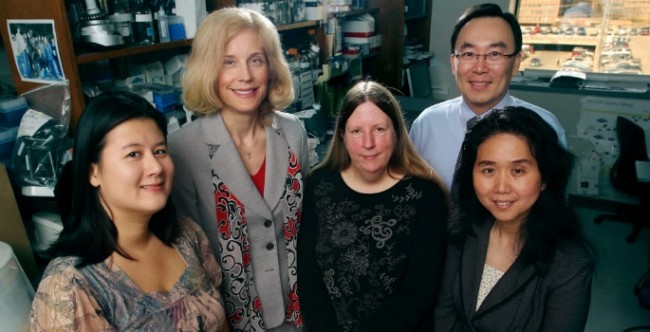 gene-signature-researchers