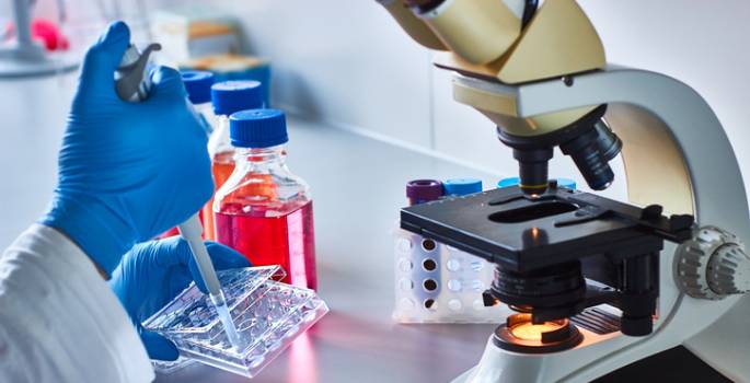 Vanderbilt University