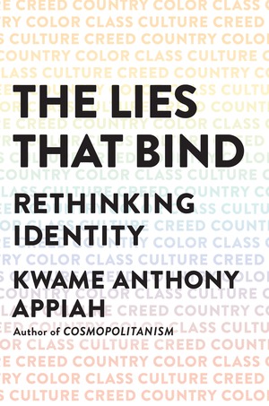 book jacket for 'The Lies That Bind'