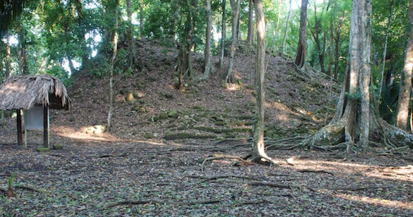 pyramid covered in grass and trees