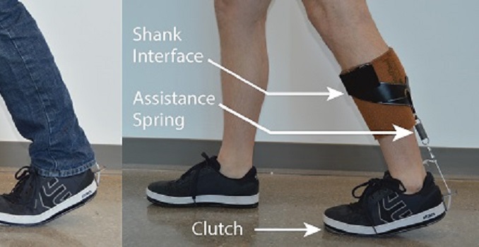 Vanderbilt University