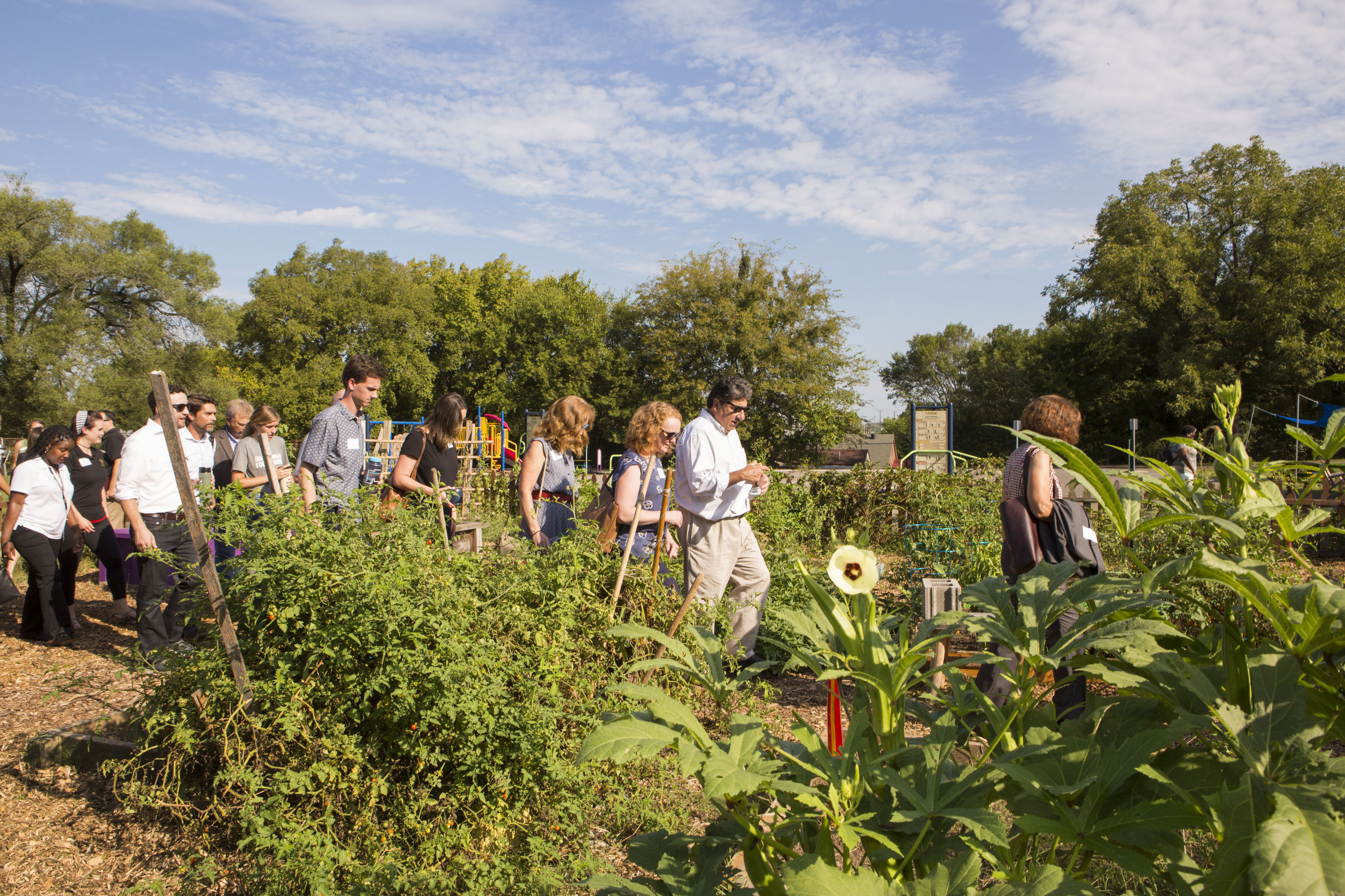 (Anne Rayner/Vanderbilt University)