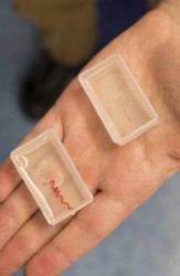 sample of blood vessel