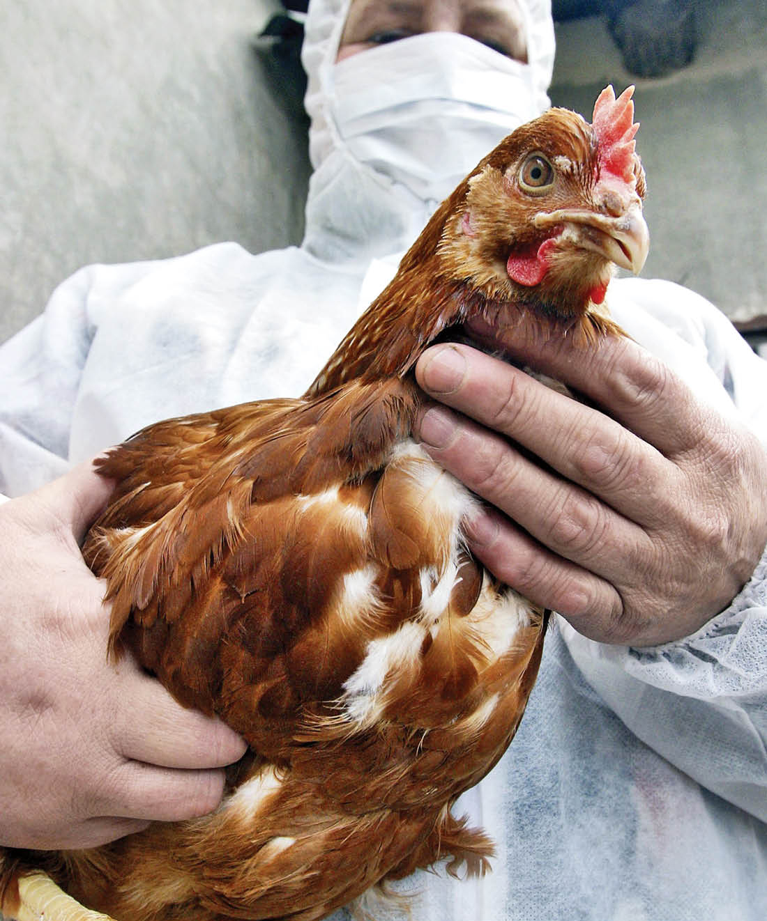 Vanderbilt University