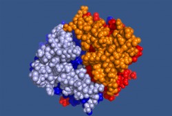 barrellprotein-model Barrel protein model